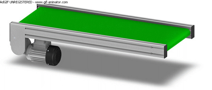 paletti moving images
